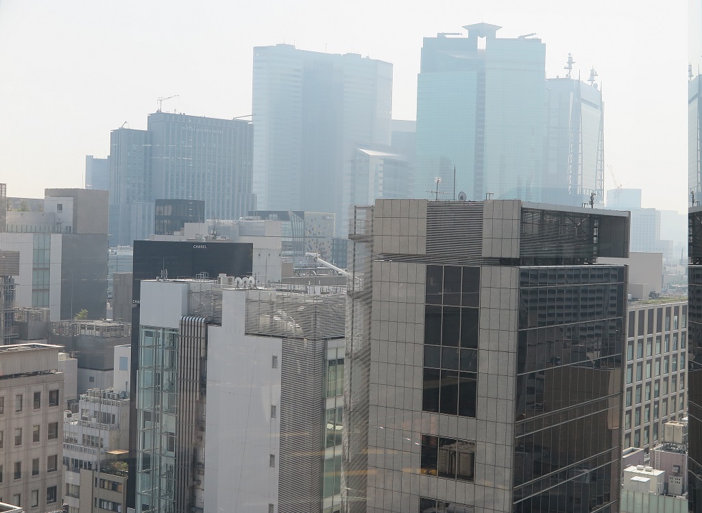 Tokyu plaza terrace view