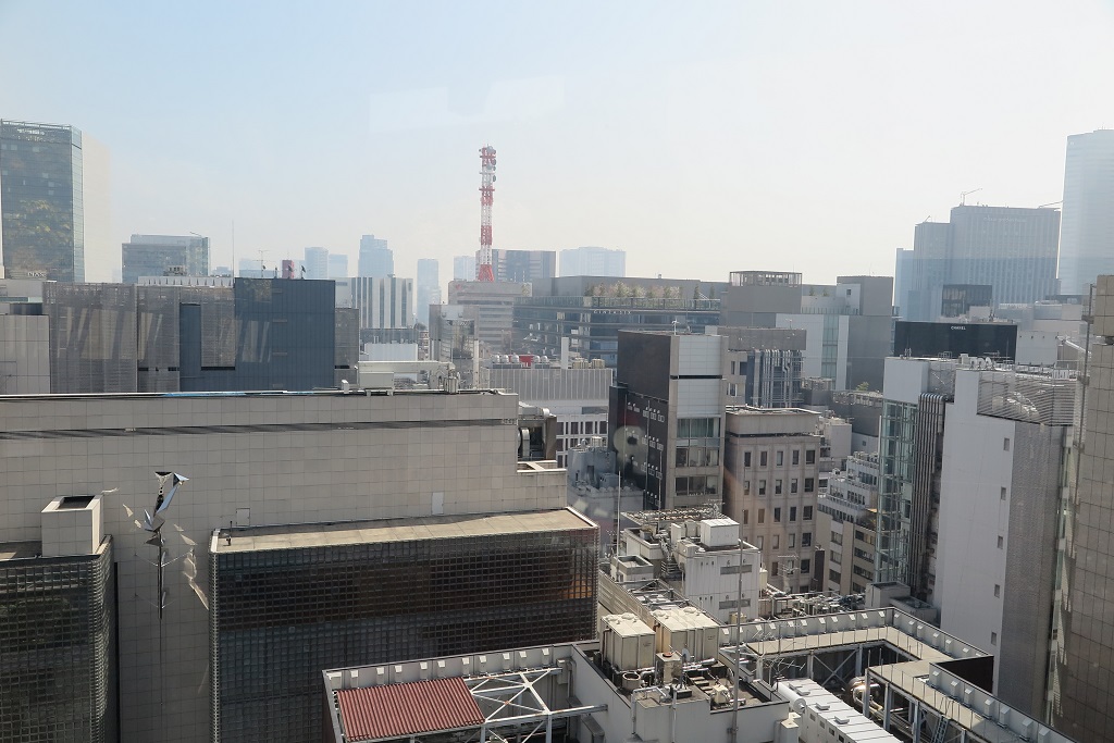 Tokyu plaza terrace view