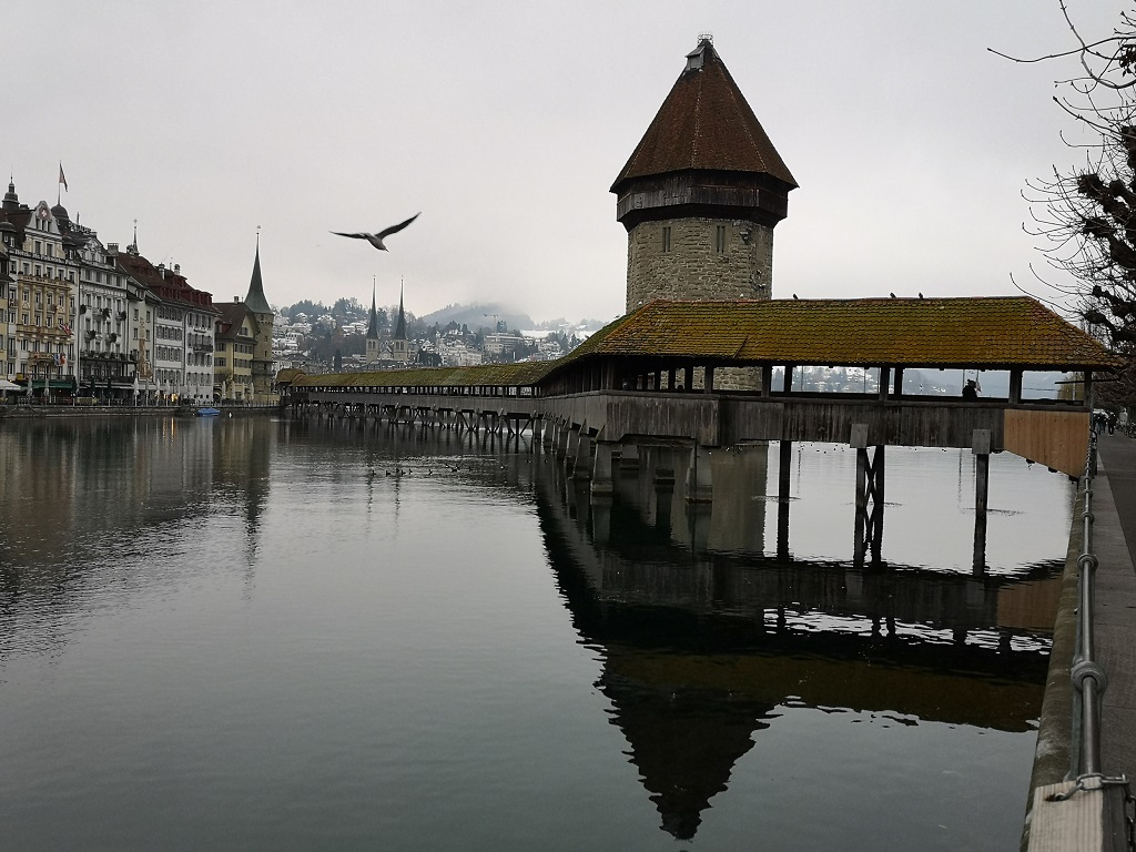 Pont en bois de Lucerne et oiseau